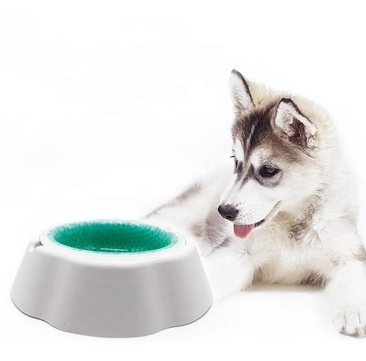 Bebedero Para Mascota Fresh Cold