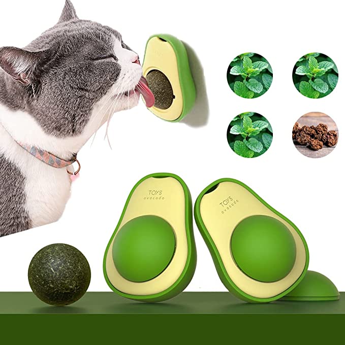 Catnip Aguacate Hierba Gatos
