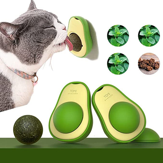 Catnip Aguacate Hierba Gatos