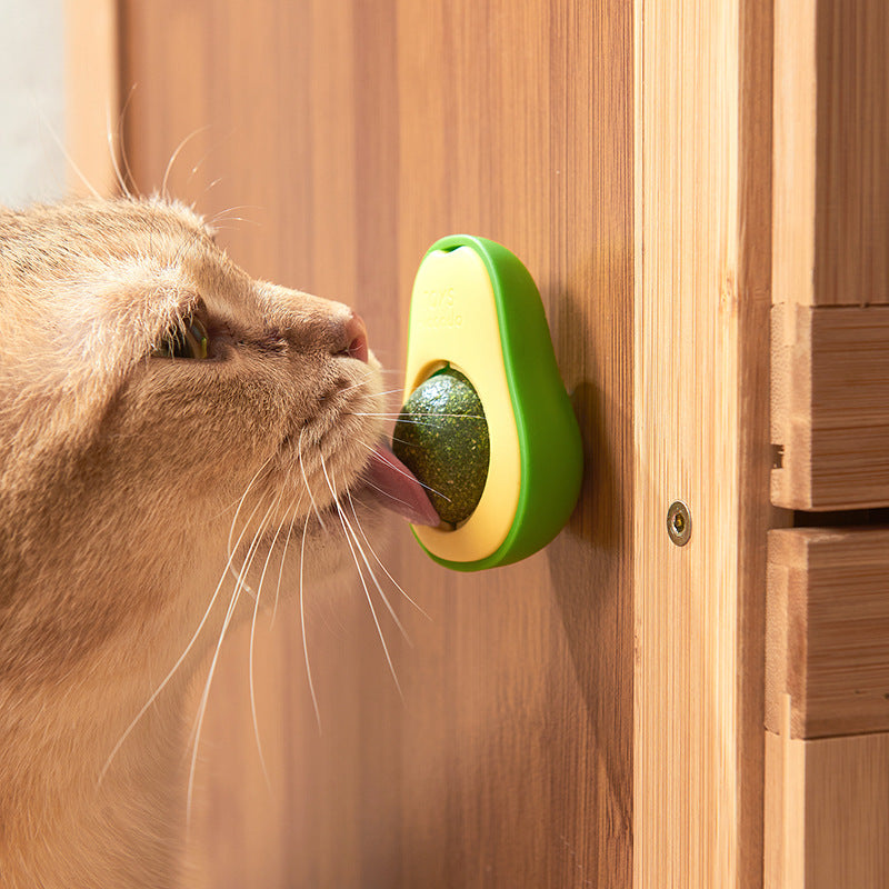 Catnip Aguacate Hierba Gatos
