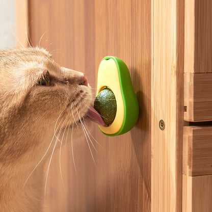 Catnip Aguacate Hierba Gatos